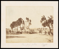 Pompey's pillar, Egypt, [١٨٦]
