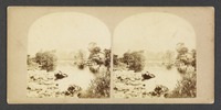 [View of a pond], [١٨٥]